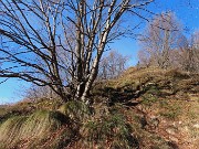 19 In decisa salita tra bosco e brevi radure